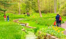 黑龙江边的遐想