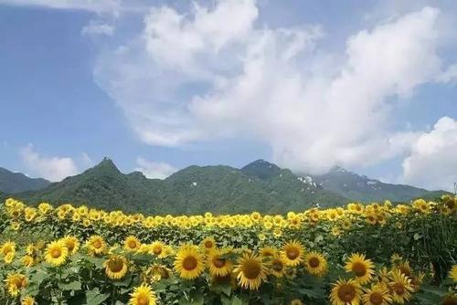 我发现了秋天的美丽