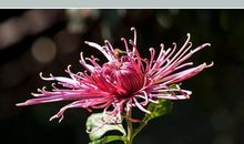 掬起每一束感动