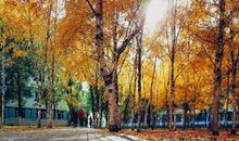 校园中的秋景