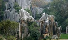 石林作文写景400字