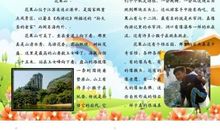 我是一只白鹭作文