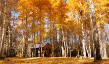 我发现了秋天的不同寻常