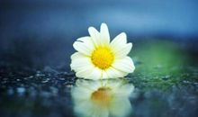 学会放下，生活更美好