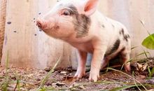 这个冬天不会冷