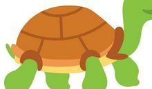 写小乌龟的作文