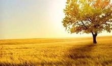 我发现了秋的秘密