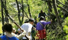 描写登山艰难的作文