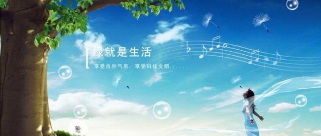 我的心在飞