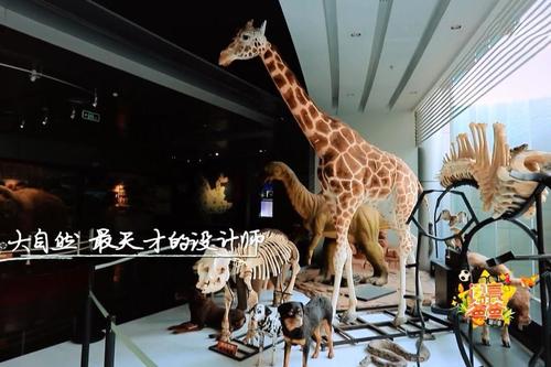 参观生物博物馆