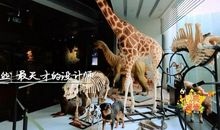 参观生物博物馆