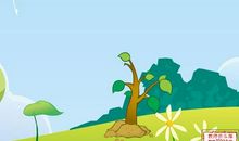 小树的成长经历