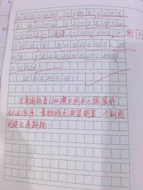 正确的错别字