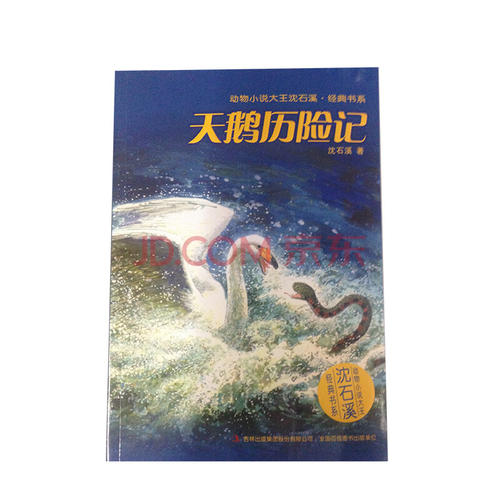 看完《天鹅历险记》