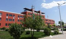 美丽校园茁壮成长