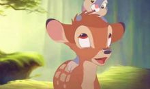 有爱相随有您相伴