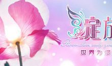 绽放的生命才有意义