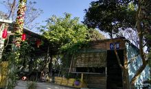 丰富多采的周末