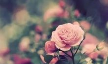 生活让我品味到了美