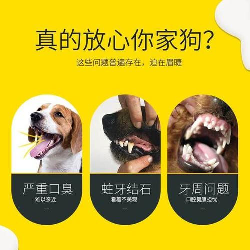 反狗神器