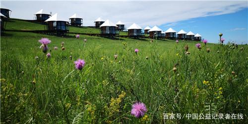 抓住家庭的温暖