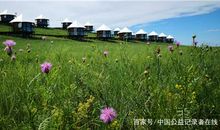 抓住亲情的余温