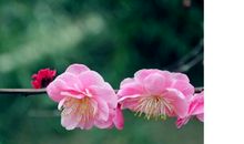 一切皆美，只因有你