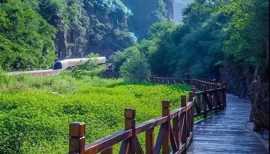 春季旅行