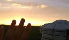 放慢心灵的脚步