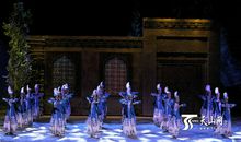 精彩的舞蹈表演