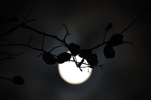 愁思