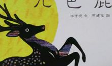 九色鹿读书心得