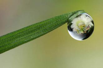 一滴水的梦想