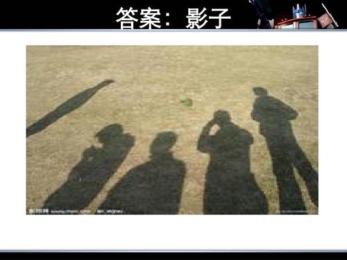 我发现了影子的秘密