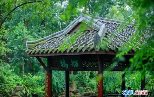 品尝一千次，永无聊