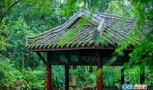 品你千遍不厌倦