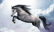 做一匹不被埋没的千里马