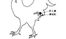 我发现了鸡为什么吃石子