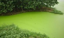 保护环境水污染