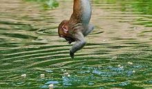 本来我可以选择安逸