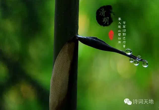 清明让我想起了中大