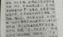 以作业为话题的作文