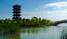 我爱家乡的风景