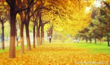 这个秋天我明白了