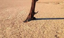 藏在心窝里的人