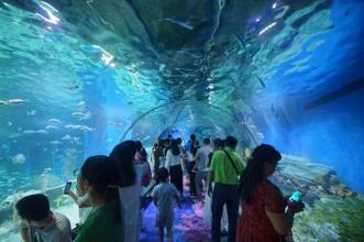 海洋立方海洋公园