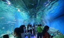 海立方海洋公园