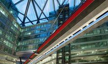 属于自己的芳草地