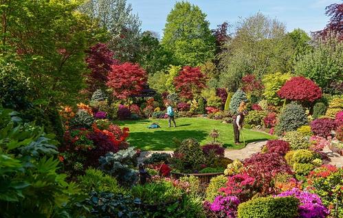 四季都歌唱的后花园