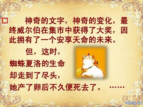 关于“夏洛特网”的思考